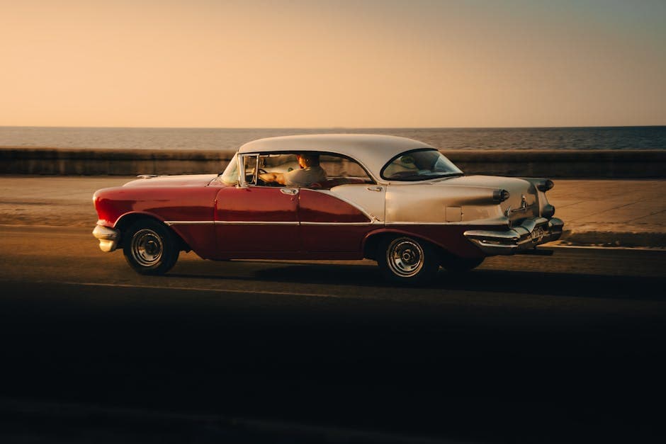 Full Wrap vs Partial Wrap: Which Is Right for Your Business?